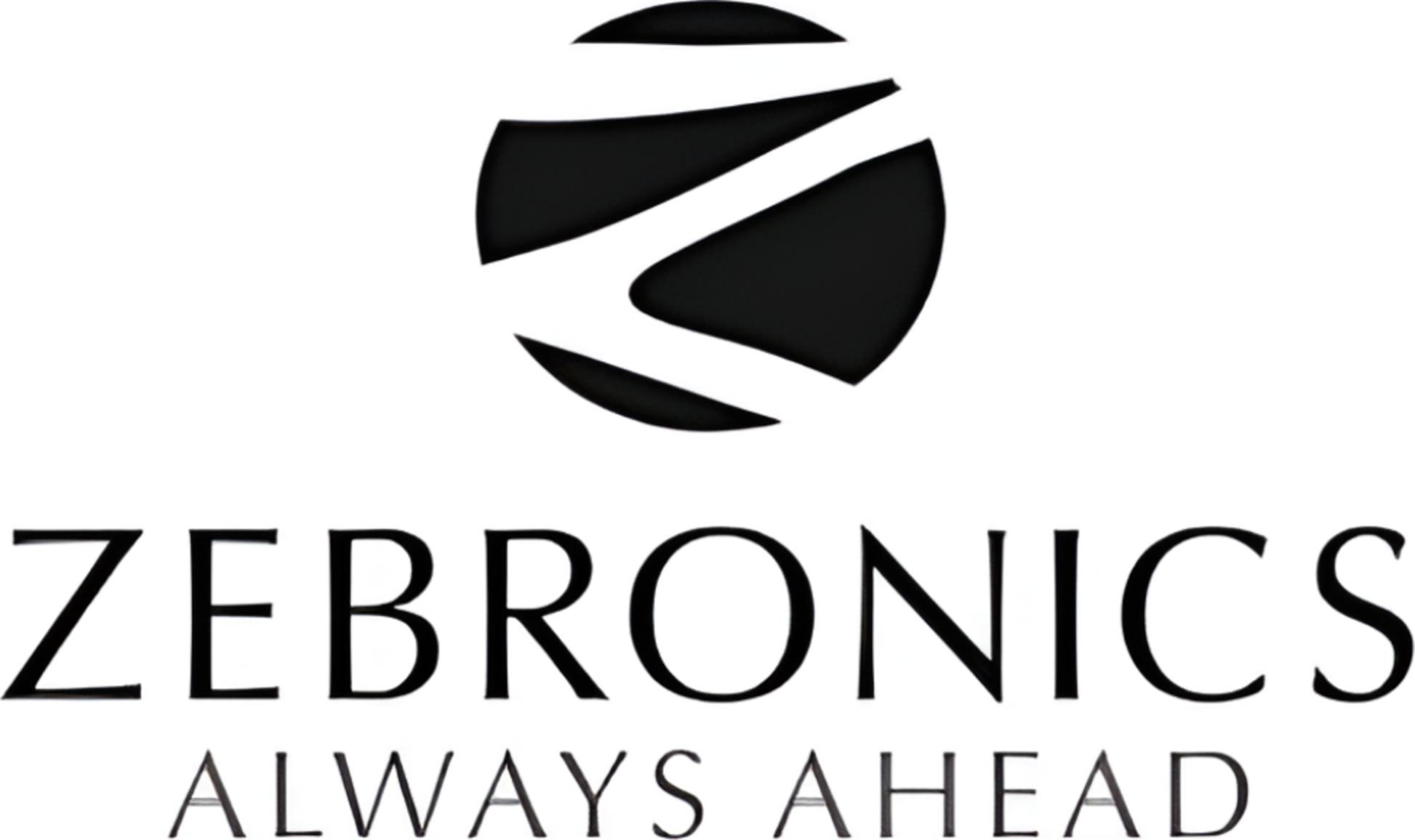 Zebronics logo