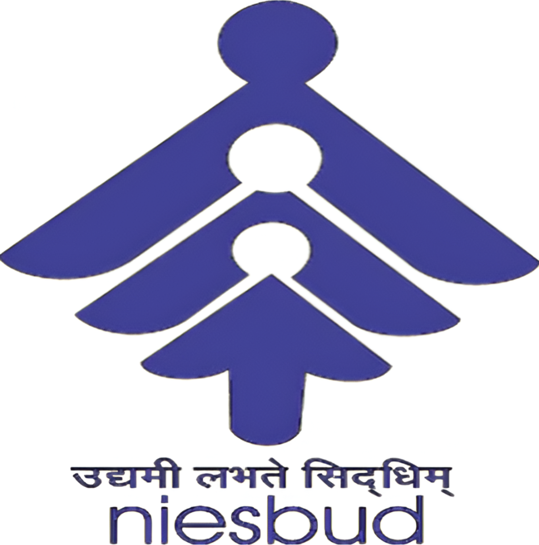 National Institute for Entrepreneurship and Small Business Development logo